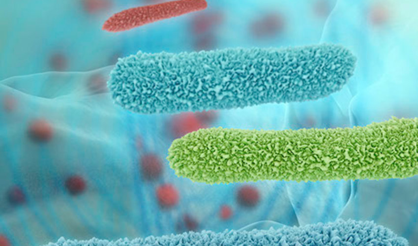 tratamiento de la legionella en estepona