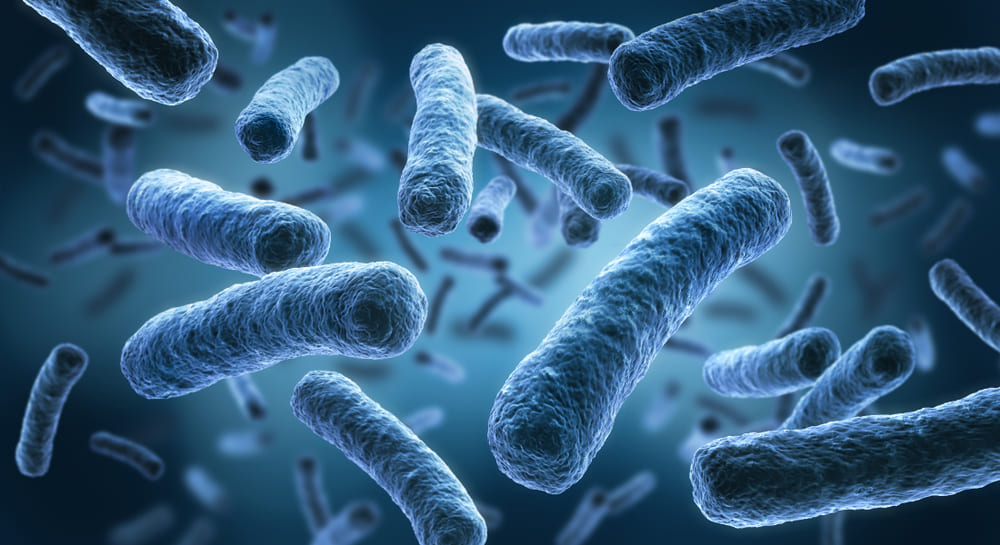 legionella-persona-a-persona